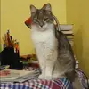 Отзыв от Нелли Карташова